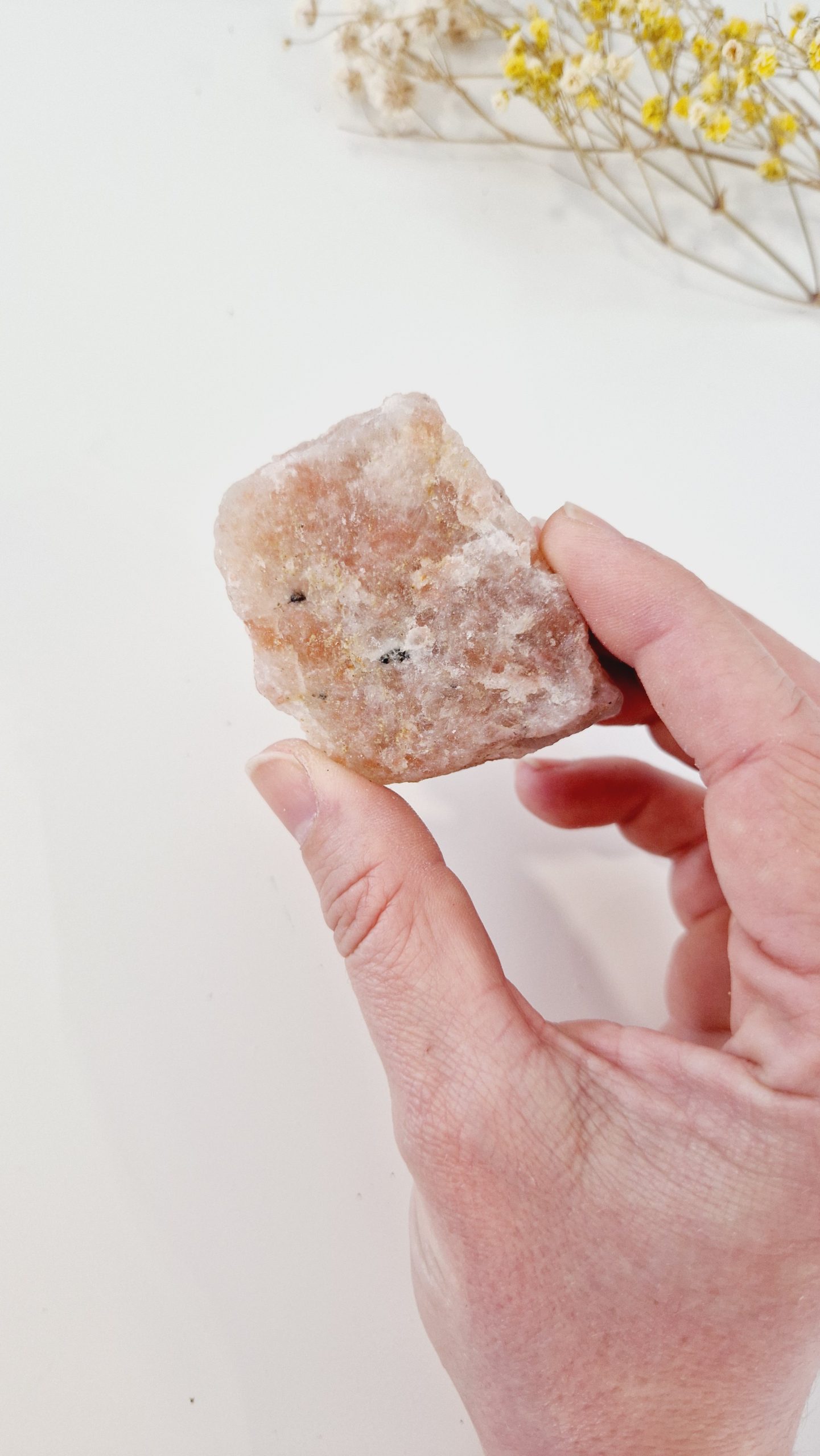 Masivo de piedra sol pequeño - Imagen 3