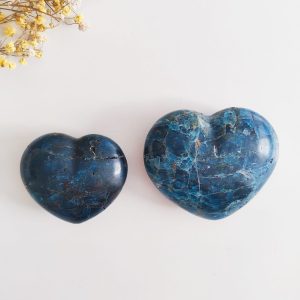 Corazón de Apatito